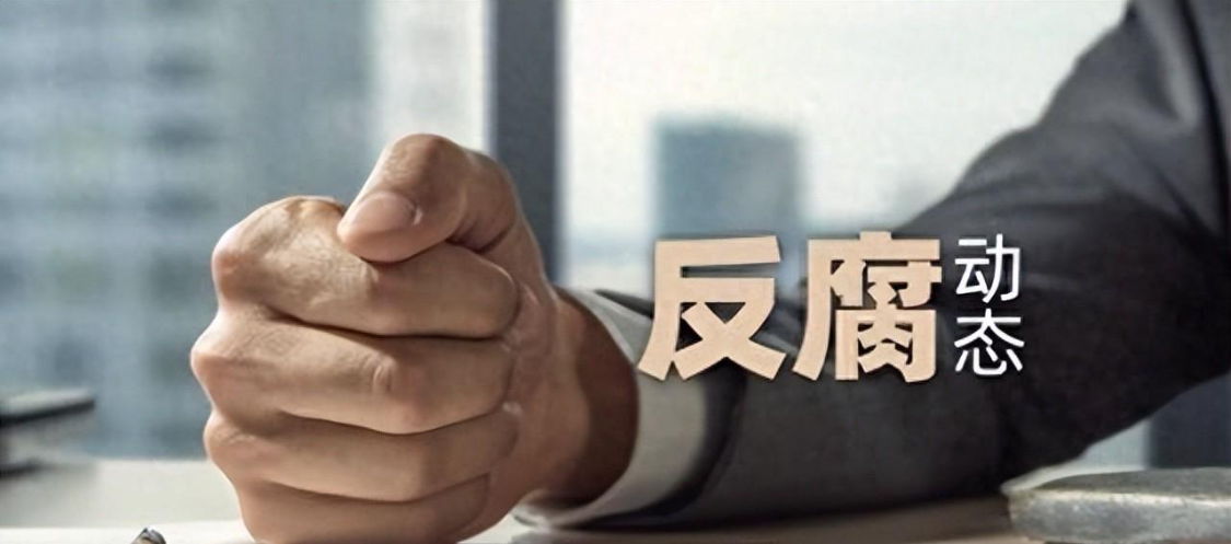 爱游戏体育官方网站-李小林被查！铁血军魂不许玷污一声惊雷，又一只“老虎”应声落马